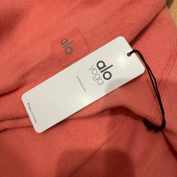 Alo Triumph Hoodie - Picture 2 of 3